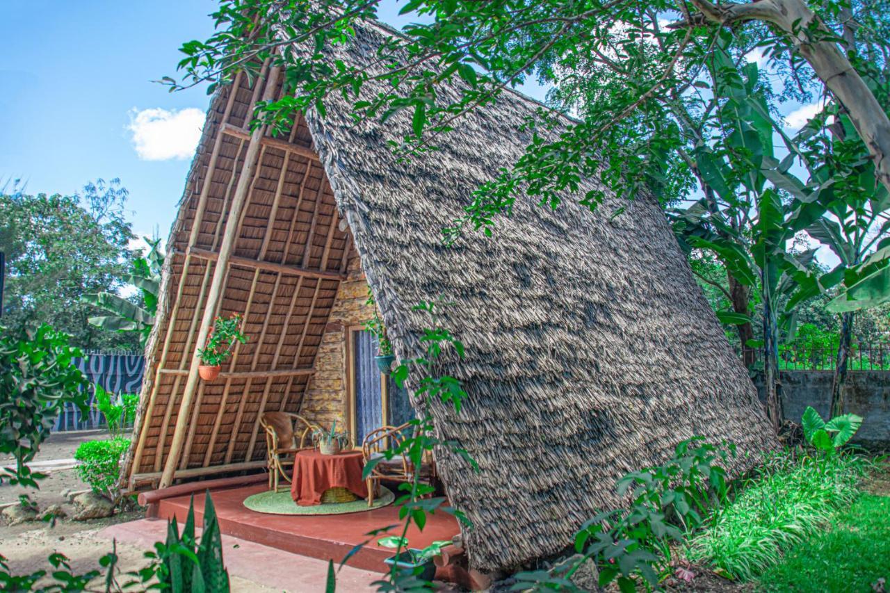 Charming Eco-Homestay Near Kilimanjaro International Airport 阿鲁沙 外观 照片