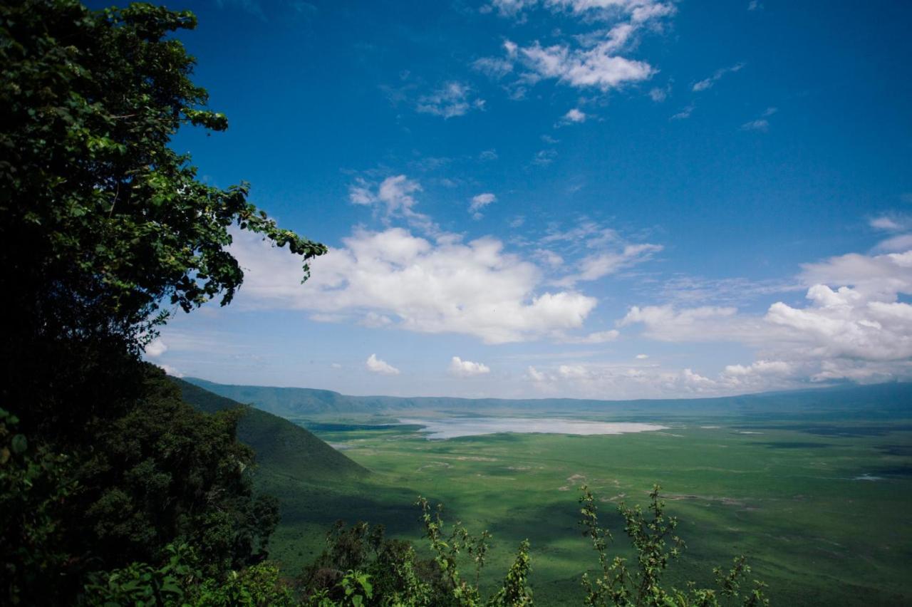 Charming Eco-Homestay Near Kilimanjaro International Airport 阿鲁沙 外观 照片