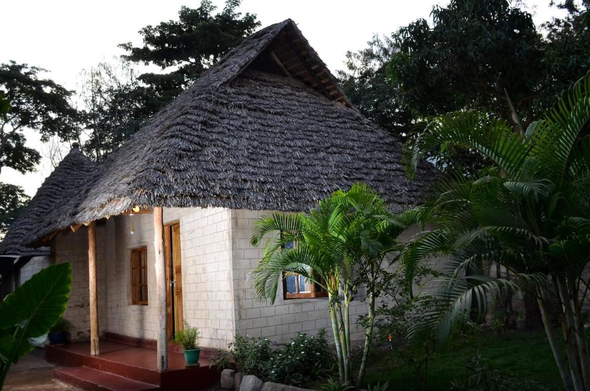 Charming Eco-Homestay Near Kilimanjaro International Airport 阿鲁沙 外观 照片