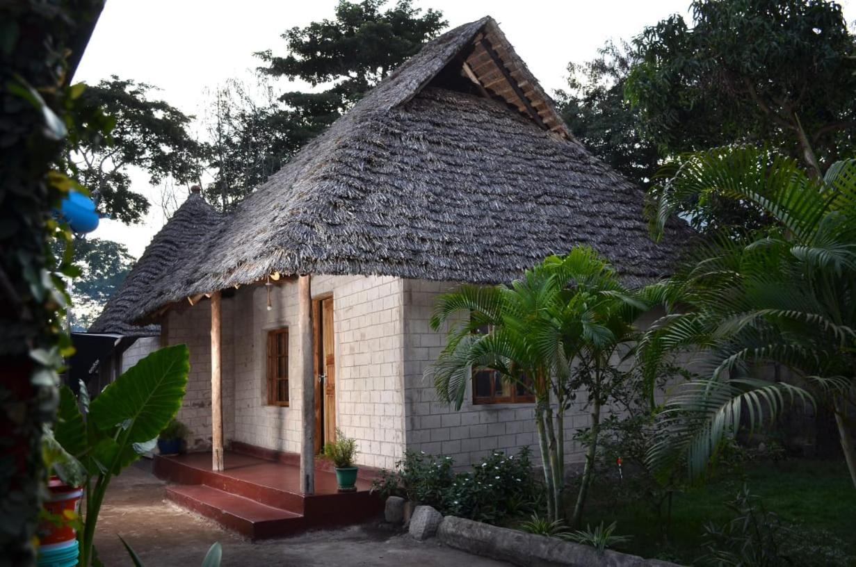 Charming Eco-Homestay Near Kilimanjaro International Airport 阿鲁沙 外观 照片